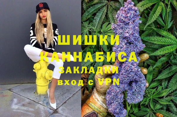 ГАЛЛЮЦИНОГЕННЫЕ ГРИБЫ Алексеевка