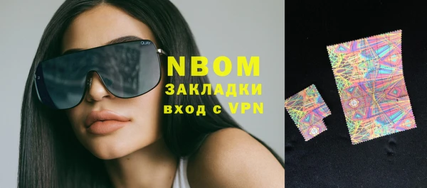 хмурый Алзамай