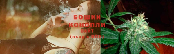 ГАЛЛЮЦИНОГЕННЫЕ ГРИБЫ Алексеевка