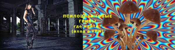 ГАЛЛЮЦИНОГЕННЫЕ ГРИБЫ Алексеевка