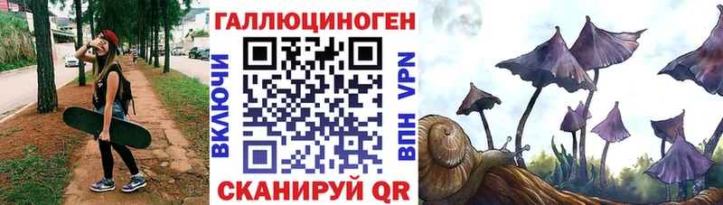 хочу наркоту  Изобильный  Псилоцибиновые грибы Psilocybe 